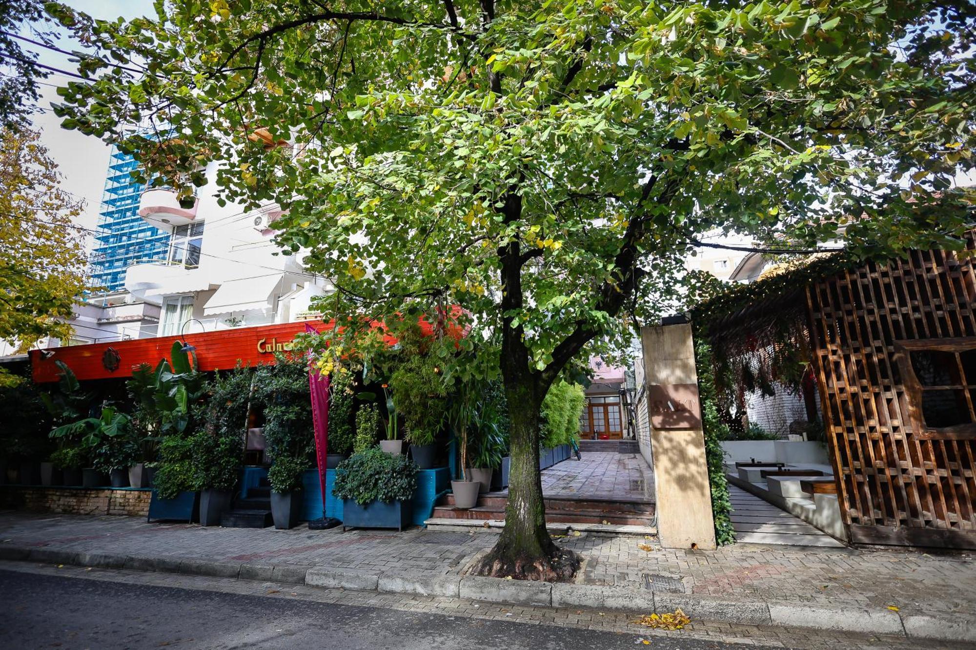 Noela'S Place Тирана Екстер'єр фото